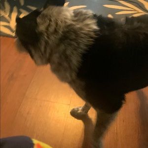 Meet your Posher, Liam